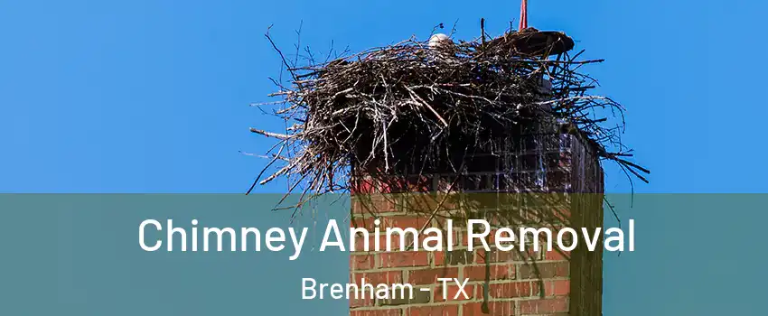 Chimney Animal Removal Brenham - TX