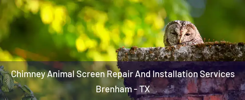  Chimney Animal Screen Repair And Installation Services Brenham - TX