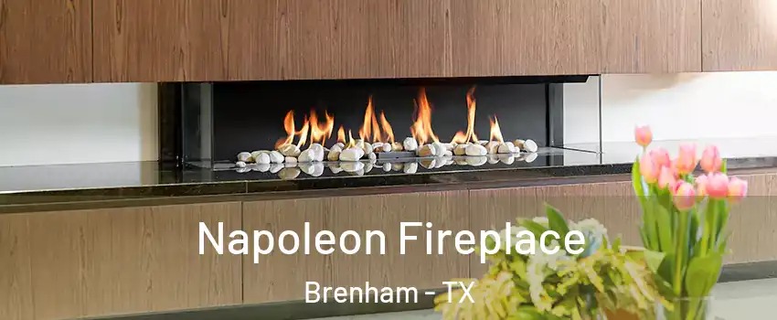  Napoleon Fireplace Brenham - TX